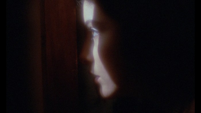 Marina Pierro in The Strange Case of Dr. Jekyll & Miss Osbourne (1980)